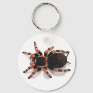 TECLA CHAVEIRO DE ARANHA DE ARANHA TARANTULA