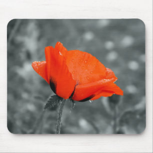 Teclado de cores mousepad papoula