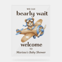 Teddy Bear Pilot Baby Boy Welcome