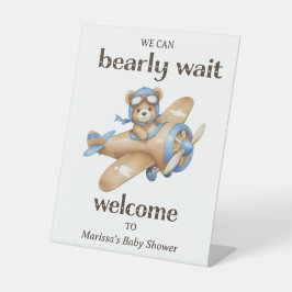 Teddy Bear Pilot Baby Boy Welcome