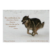 Tehya na Freedom Wolflection Poster