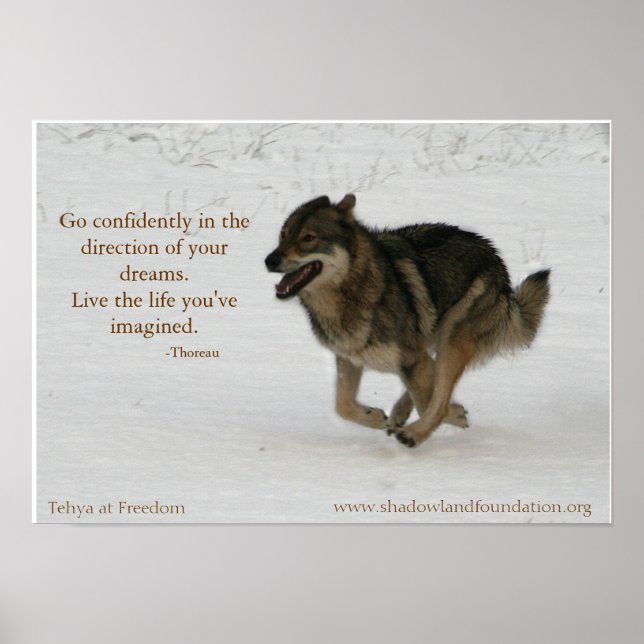 Tehya na Freedom Wolflection Poster (Frente)