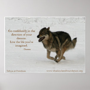 Tehya no poster de Wolflection da liberdade