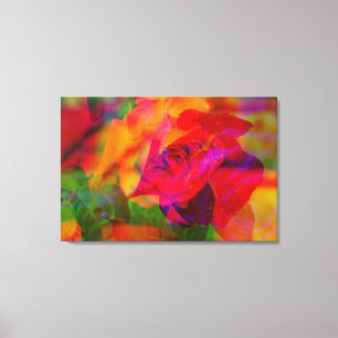 Tela ARTE GLITCH de uma rosa molhada em impressão de te