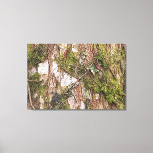 TELA CANVAS QUADRO DECORAÇÃO NATUREZA ÁRVORE NOVO