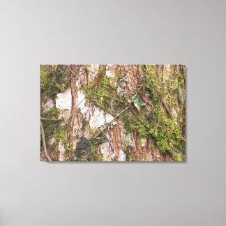 TELA CANVAS QUADRO DECORAÇÃO NATUREZA ÁRVORE NOVO
