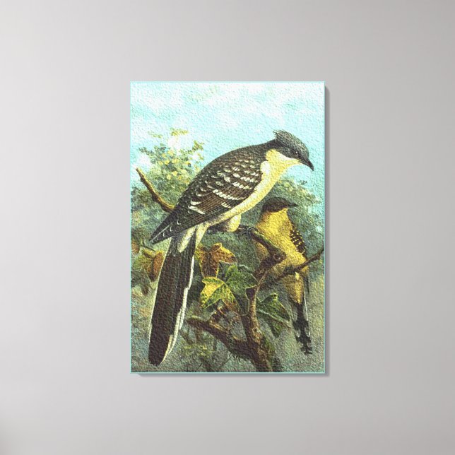 Tela de impressão de excelentes de Cuckoo (Frente)