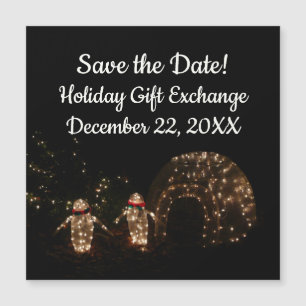 Tela de luz de feriado dos pinguins