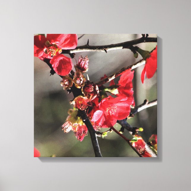 Tela Floral Vermelha Brilhante Impressão (Frente)