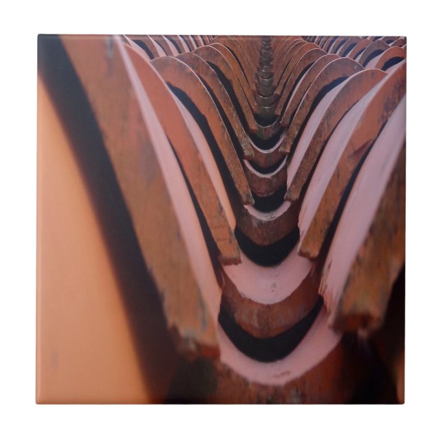 Telhado Russo com Perspectiva Única (Frente)