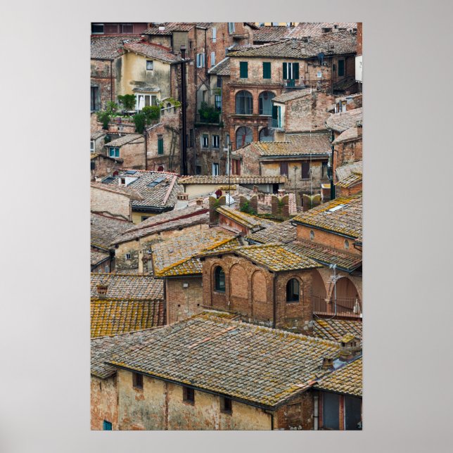 Telhados em Siena poster impressão (Frente)