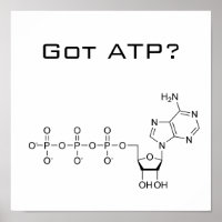 Tem ATP? Pôster
