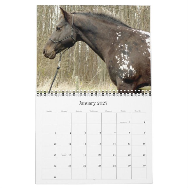 TEM PONTOS? CALENDÁRIO DE APPALOSA 2011 (Jan 2027)