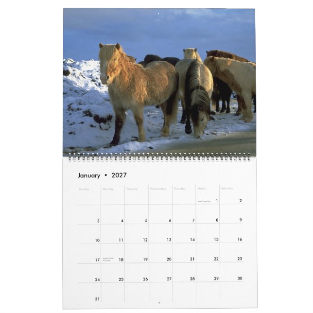 Tema islandês de 2010 cavalos do calendário (Jan 2027)