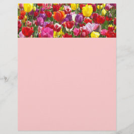 Temas de papel de Flyer de Primavera Tulipa Flores