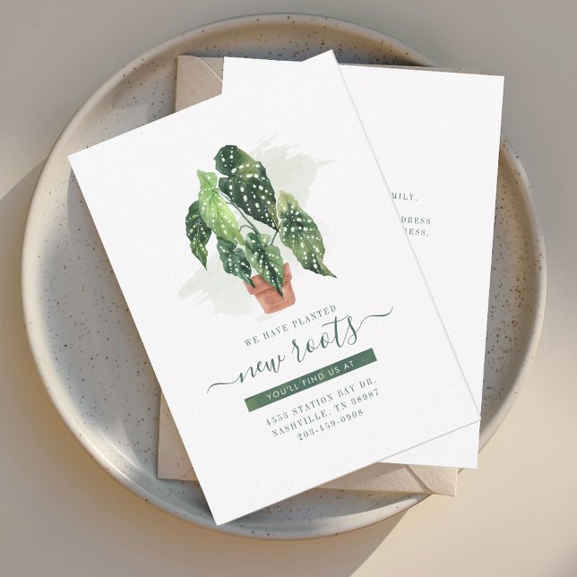 Temos o Anúncio de Movimentação de Cores d'Água (New Roots We've Moved Script Family Moving Announcement)