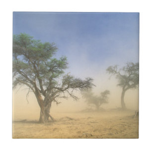 Tempestade de areia no deserto do Kalahari, Kgalag