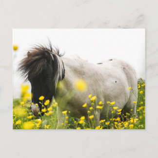 Tempestade num cartão postal