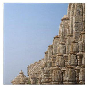 Templo Jainista no Forte de Chittorgarh, Índia