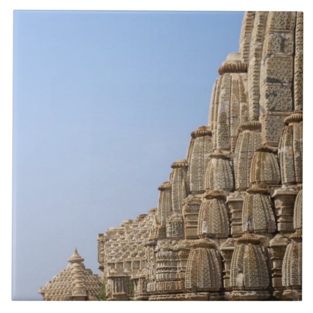 Templo Jainista no Forte de Chittorgarh, Índia (Frente)