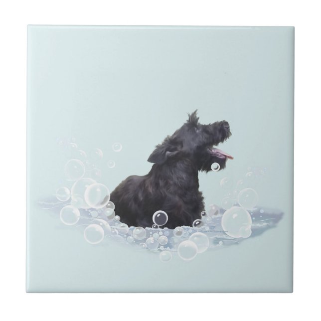 Tempo de Banho (Frente)