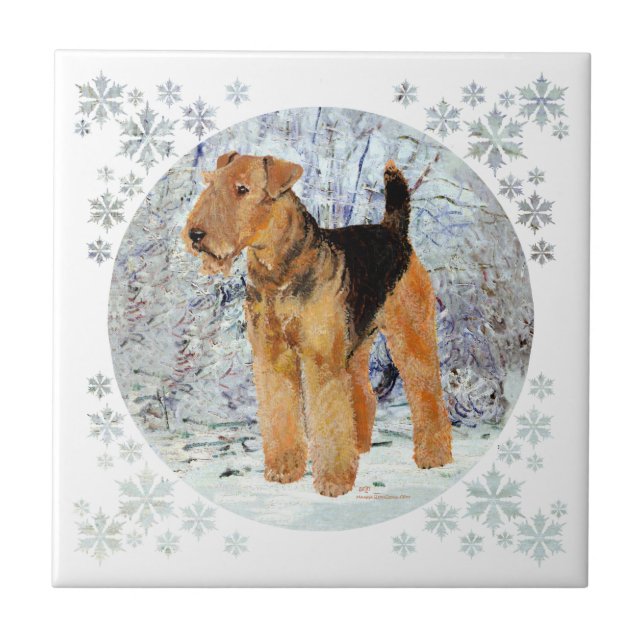 Tempo de inverno (Frente)