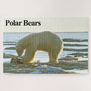 Tempo de Janto do Urso Polar Quebra-cabeça