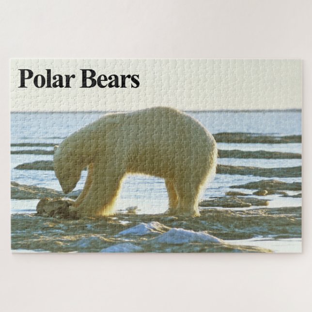Tempo de Janto do Urso Polar Quebra-cabeça (Horizontal)