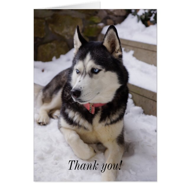 Tempo de repouso do Cartões de agradecimentos (Frente)