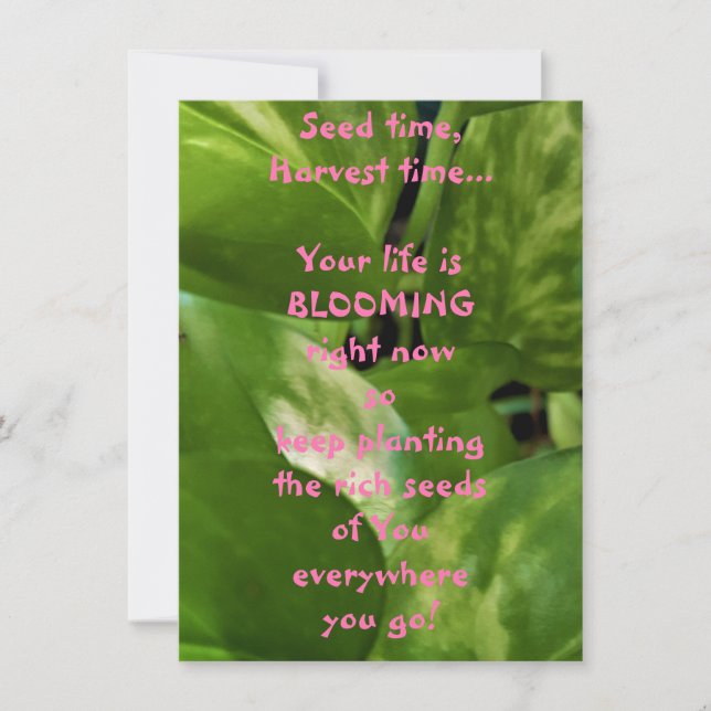 Tempo de Semente, Tempo de Colheita Cartão de Saud (Frente)