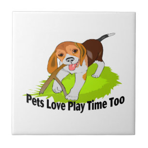 Tempo do jogo do amor dos animais de estimação
