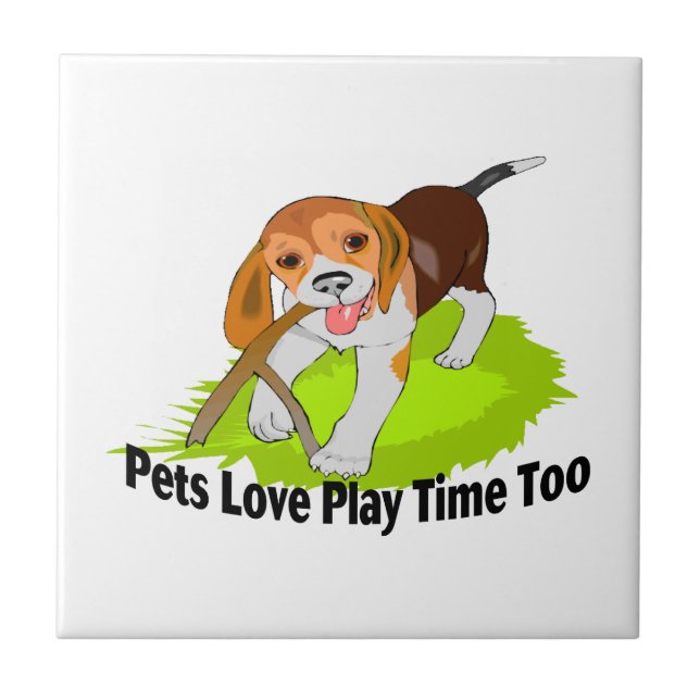 Tempo do jogo do amor dos animais de estimação (Frente)