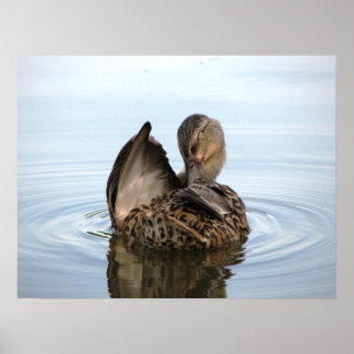 Tempo para um Banho - POSTER