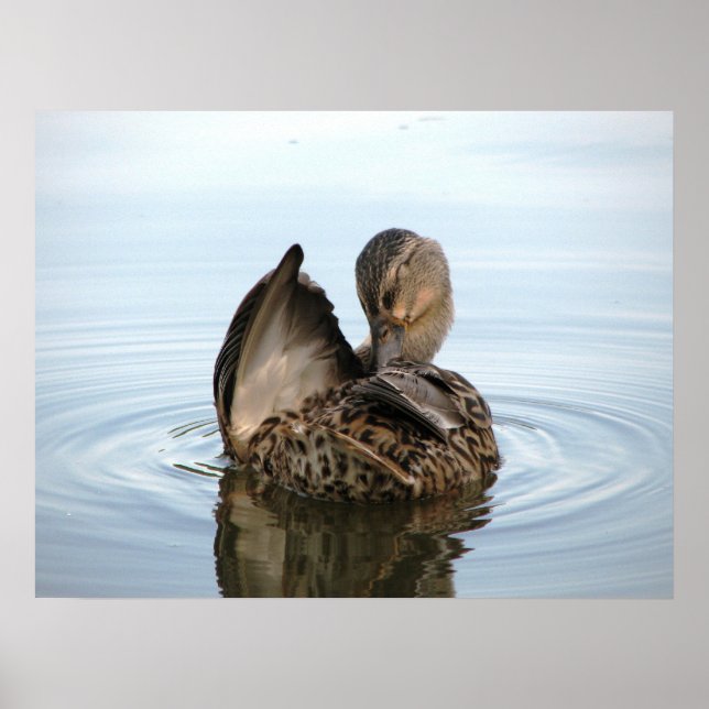 Tempo para um Banho - POSTER (Frente)