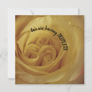 Tendo o anúncio do bebê Rosa Amarelo Triplets