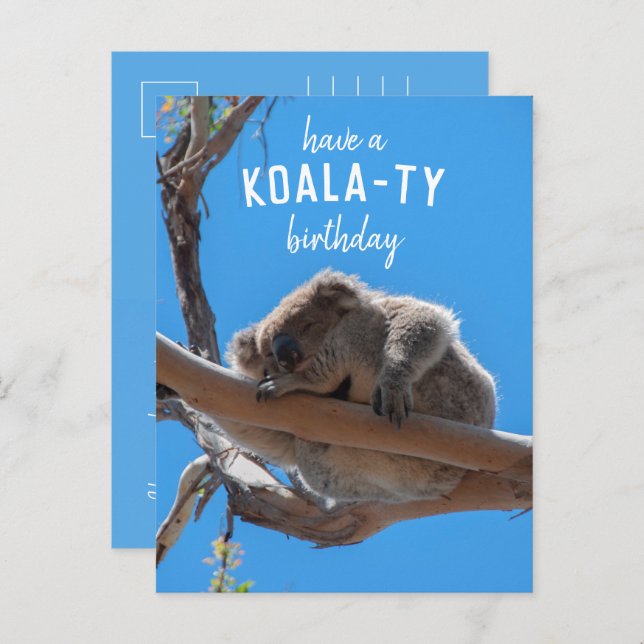 Tenha um Aniversário Koala-ty, Cartão Postal Azul  (Frente/Verso)