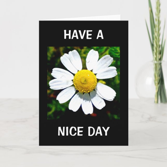 Tenha Um Belo Cartão De Aniversário (Frente)