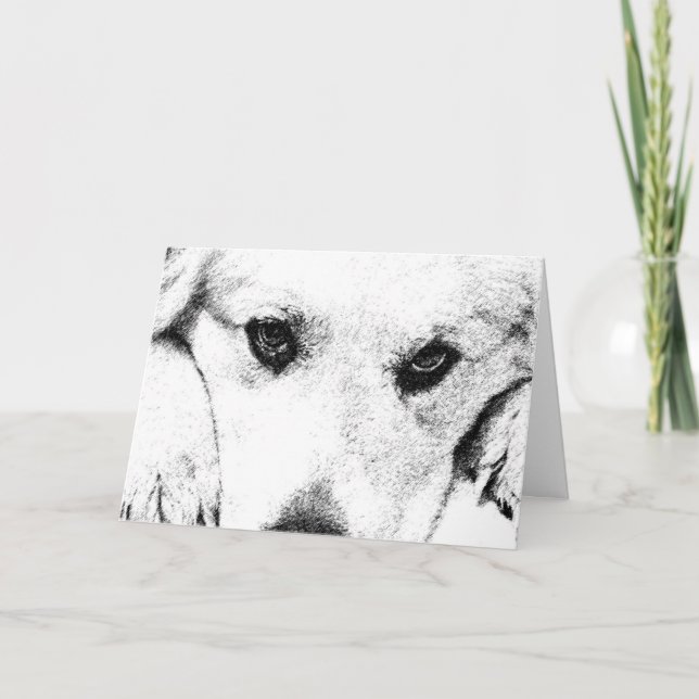 Tenha um Cartão de Dia Feliz (Frente)