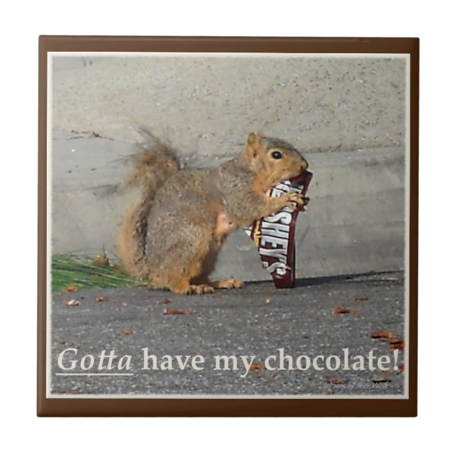 Tenho Que Ter Meu Azulejo Decorativo De Chocolate (Frente)