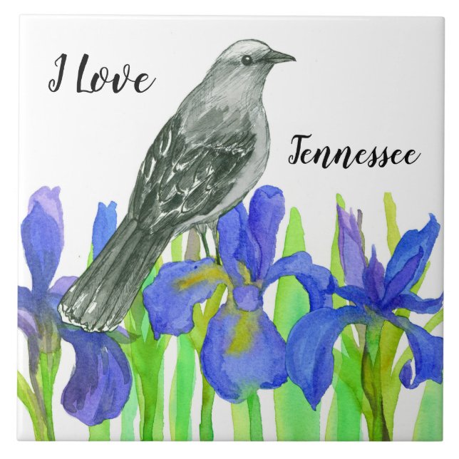 Tennessee Souvenir Yellow Bird Blue Iris (Frente)