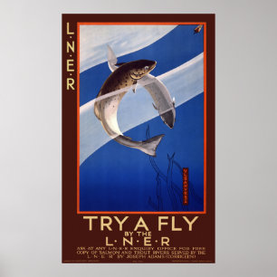 Tente uma mosca perto do L.N.E.R. Poster vintage d