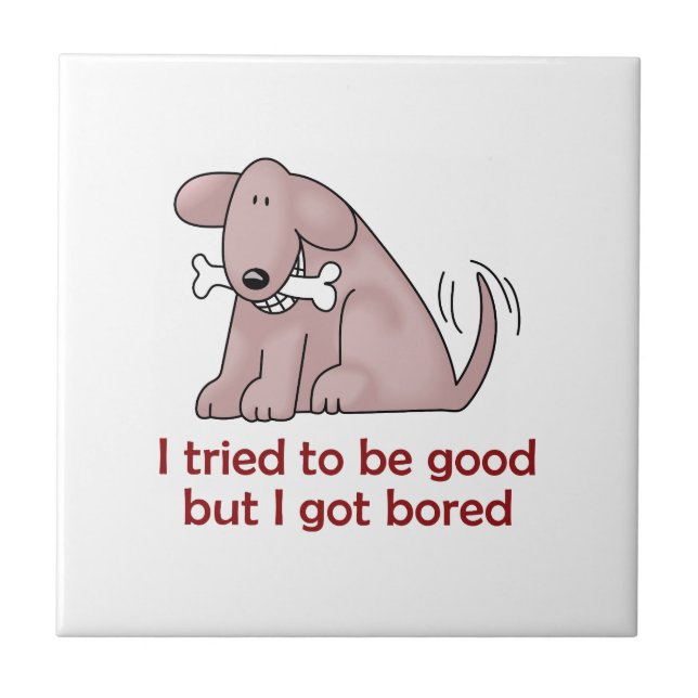 TENTEI SER BOM (Frente)