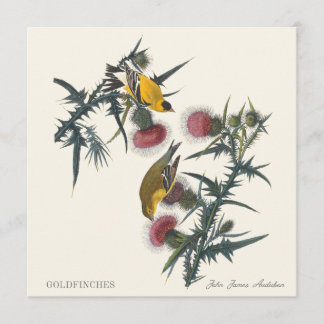 Tentilhões por John James Audubon
