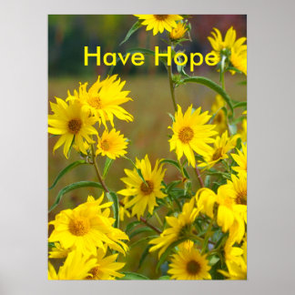 Ter Poster de Motivação Esperança