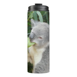 Térmica Garrafa de Bebida Folha de Goma Comendo Koala