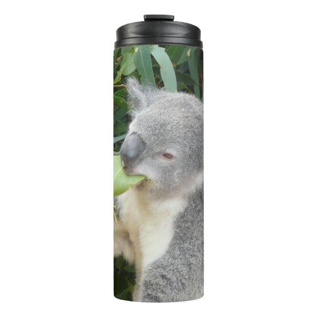 Térmica Garrafa de Bebida Folha de Goma Comendo Koala (Frente)