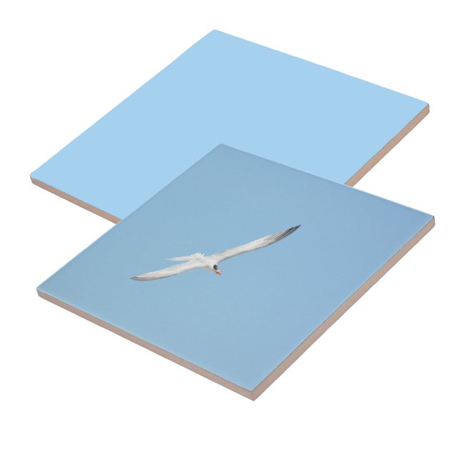 Tern Real em Voo (1 of 7 coordinating Royal Terns in Flight ceramic tiles)