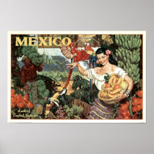 Terra de México do vintage do poster tropical do