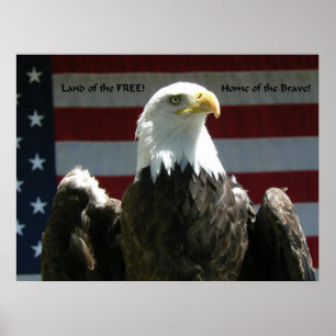 Terra do poster livre