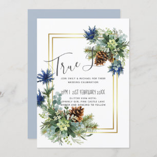Terra Maravilhosa do Casamento Eucalyptus Blue de